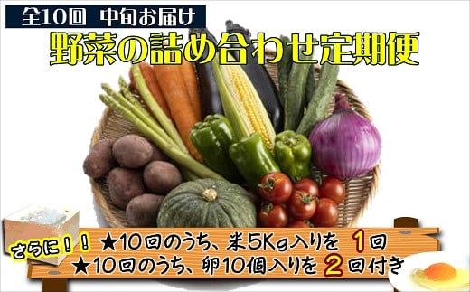 
            米5kgと卵20個付き！野菜の詰め合わせ定期便10回(中旬)【定期便】【J0-001】( 米 ご飯 ごはん お米 白米 卵 たまご タマゴ 野菜 やさい ヤサイ 詰め合わせ 定期便 季節の野菜 旬 おまかせ 九州 新鮮 とれたて 赤土土壌 たっぷり おすすめ 満足 安心 5キロ 5kg 野菜詰め合わせセット 野菜セットセット )【J0-001】
          