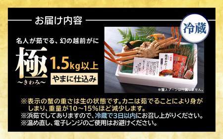 【11月発送】【先行予約】特大 越前がに《極》（1.5kg以上）名人が茹でる やまに仕込み [W-4301]