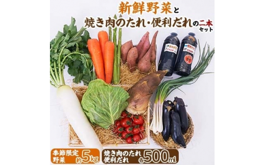 
新鮮野菜(約5kg)と焼き肉のたれ便利だれの二本セット【1025156】
