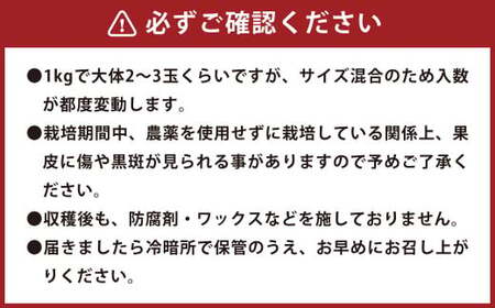 環境マイスターのグレープフルーツ 良品・訳あり混合 20kg （栽培期間中は無肥料・農薬不使用） 果物 くだもの フルーツ グレープフルーツ 柑橘 【2026年3月下旬～5月下旬迄順次発送予定】