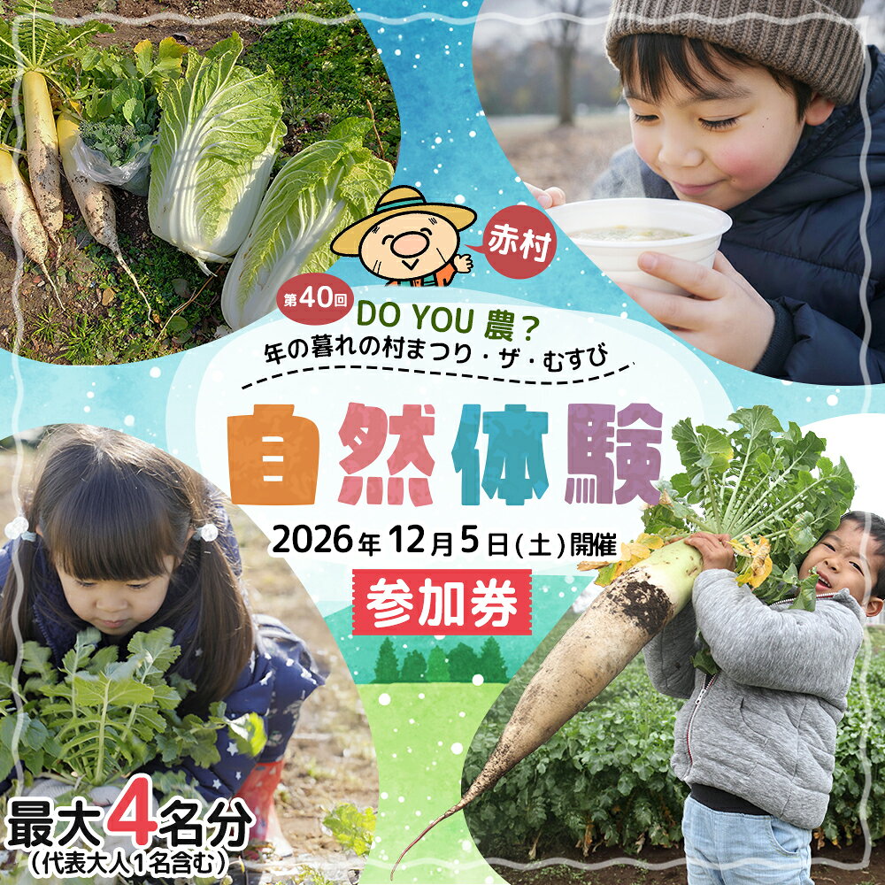 【ふるさと納税】【数量限定】 福岡県 赤村 「第40回 DO YOU 農 ? 年の暮れの村まつり・ザ・むすび」参加券 体験 農業 フェスティバル フェス 工作 稲 大根 白菜 野菜 収穫 おにぎり おむすび 新米 豚汁 イベント 村 田舎 4W3