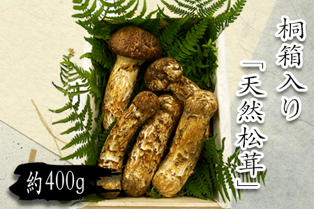 【2025年9月～11月発送分先行受付】山形県産「天然松茸（まつたけ）」約400g(桐箱入)_H086(R7)