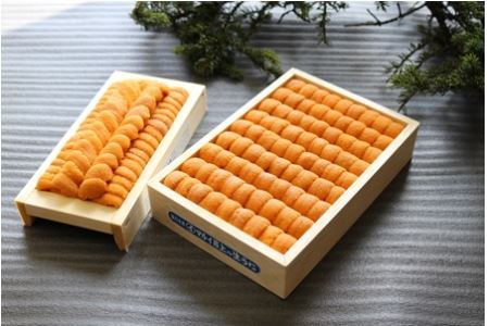 エゾバフンウニ140g×1折、エゾバフンウニ並べ詰め150g×1折[2026年1月中旬以降発送] D-71037