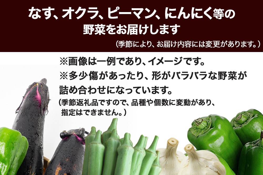 季節の訳あり野菜セット 約700〜800g