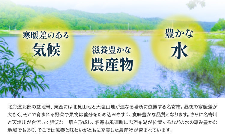 北海道名寄産 星空雪見法蓮草《2027年1月中旬-2月上旬頃出荷》名寄産 星空雪見 法蓮草 星空 雪見 法蓮草 ほうれん草 北海道 名寄市 野菜 ホウレンソウ 野菜ソムリエ やさい ---nayoro
