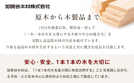木工工作キット「木の葉（S）」 加賀谷木材 | 木工 体験 照明 インテリア DIY 木製 灯 親子 子ども ライト 家族 作る 優しい 北海道 津別町 送料無料