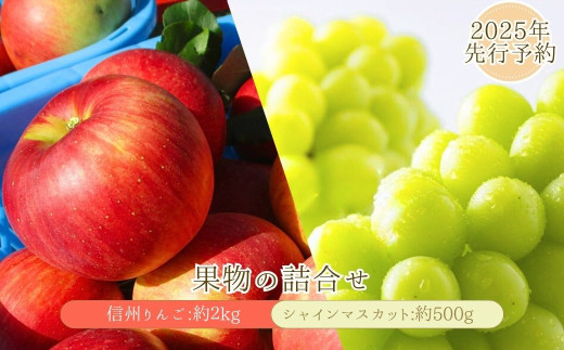 【2025年先行予約】 シャインマスカット 約500g・りんご3種詰め合わせ 計約2kg（5～8玉）セット ぶどう 葡萄 マスカット 林檎 詰合せ  果物 フルーツ 長野県産 千曲市 信州
