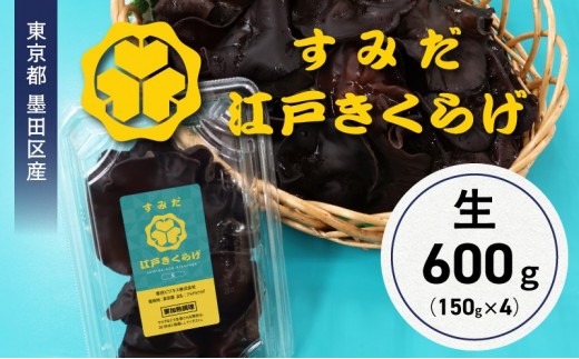 
                  東京都墨田区産　生キクラゲ600g（150g×4パック）　食品 野菜 きのこ キノコ きくらげ キクラゲ 木耳 純国産 新鮮 プリプリ 肉厚 サラダ 和え物 炒め物 鍋
                