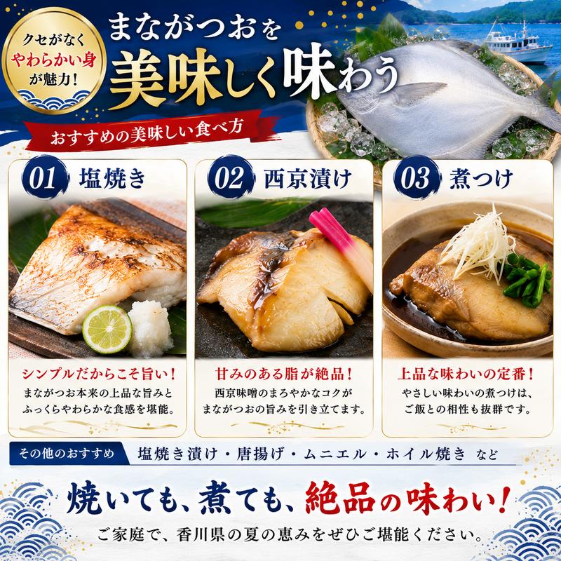 生鮮 香川県産 まながつお 1尾 1.8kg以上 マナガツオ 真魚鰹 真名鰹 魚 魚介 魚介類 冷蔵 香川 香川県