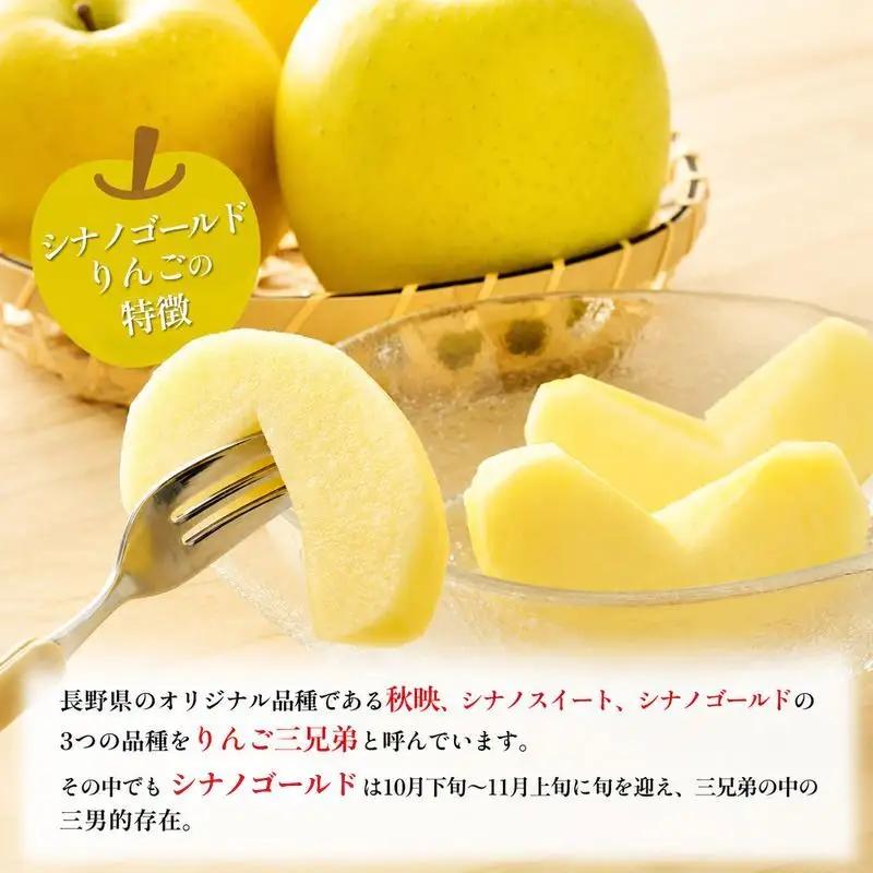 りんご JAうえだ シナノゴールド 訳あり 約10kg  果物 りんご