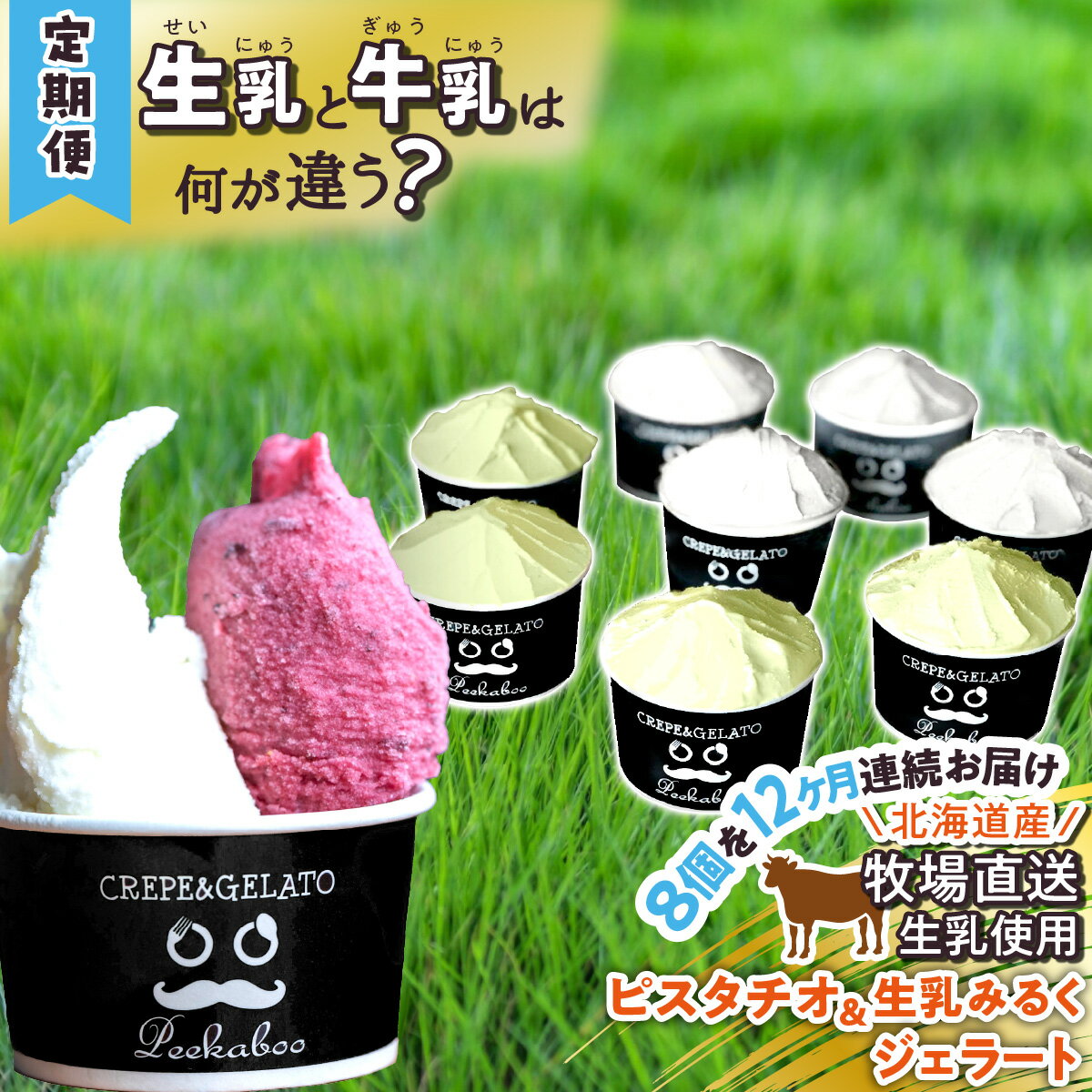 【ふるさと納税】 ＜12ヶ月定期便＞ アイス ジェラート 毎月 8 個 ピスタチオ ＆ 生乳ミルク 各 4個 北海道産 生乳 ジェラートセット スイーツ ミルク カップアイス カップ 詰め合わせ 冷凍 北海道 新ひだか町
