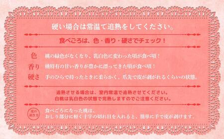 【2025年先行予約】［拝郷果樹園］岡山県産 清水白桃 約2kg（6玉〜9玉）