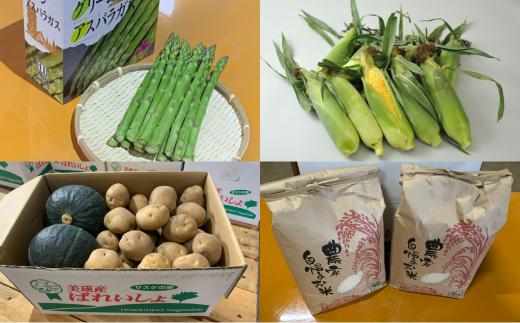 
            ≪令和７年産予約受付！≫サスケの家　野菜の定期便【小】（４回便）[042-07]
          