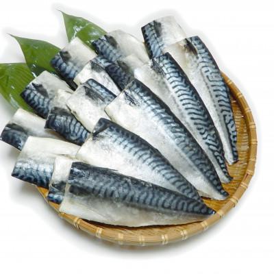 ふるさと納税 神栖市 【毎月定期便】訳あり規格外　塩さば　1.9kg 全3回