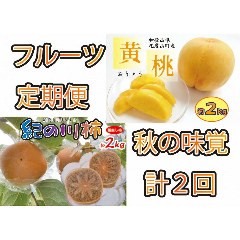 【ふるさと納税】秋の味覚フルーツ定期便 黄桃(黄貴妃)約2kg＆紀の川柿 約2kg【9月・10～11月の計2回発送】 | 黄桃 桃 柿 かき フルーツ 果物 くだもの 食品 人気 おすすめ 送料無料
