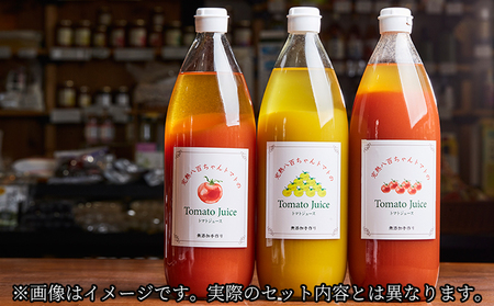 パスタソース トマト 10種 セット 無添加 パスタソース
