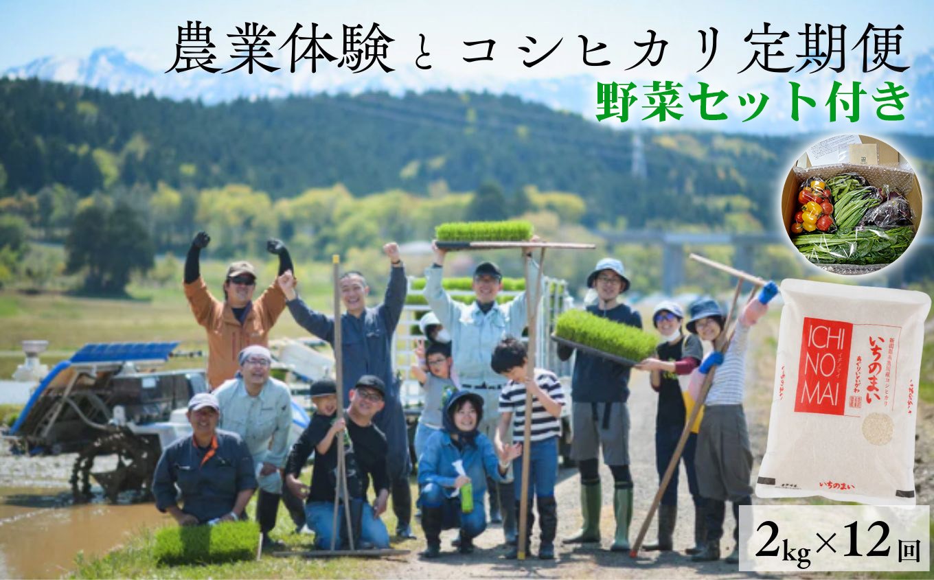 
                  農業体験＋お米の定期便『米主』プロジェクト【野菜セット付き】 コシヒカリ2kg×12回 計24kg (2026年10月～翌年9月まで毎月お届け)  農業体験（田植え、稲刈り他） 随時可能 新潟県 糸魚川市 米 定期便 令和8年産 新米
                