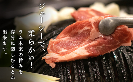 特撰 生ラム (冷凍）タレ付 600g＜肉の山本＞ ラム肉 羊肉 ジンギスカン タレ ラム 鍋 北海道