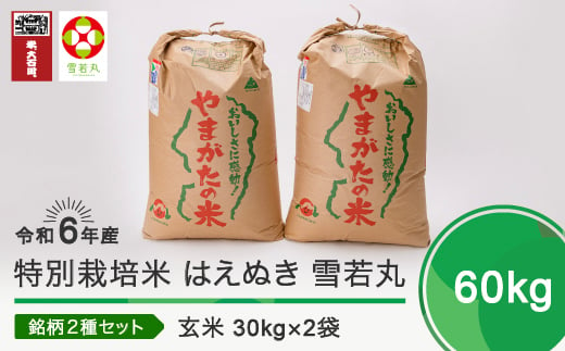 新米 令和7年2月下旬発送 はえぬき 雪若丸 各30kg 計60kg 玄米 令和6年産 ja-hygxb60-2s