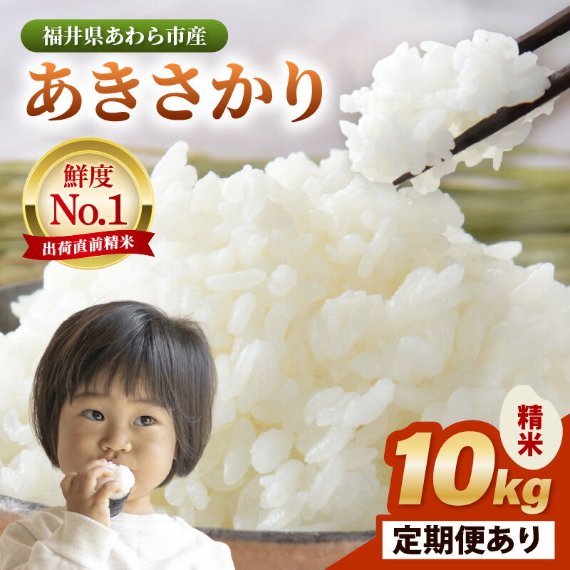【ふるさと納税】令和7年産 あきさかり 精米 10kg × 1袋【選べる回数】1回 / 3回 / 6回 / 12回 / 10キロ 定期便 福井県 あわら 北陸 米 こめ コメ kome お米 令和7年