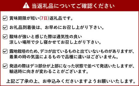 【先行予約】不知火 約5kg（15～22玉）【ひがし果樹園】【2025年3月上旬～4月下旬発送予定】柑橘 果物