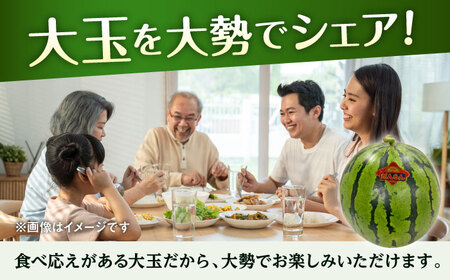 【先行予約】【数量限定】大玉 西瓜 1玉入り 約8kg 【株式会社 GGYパッケージ】[AYAU001]