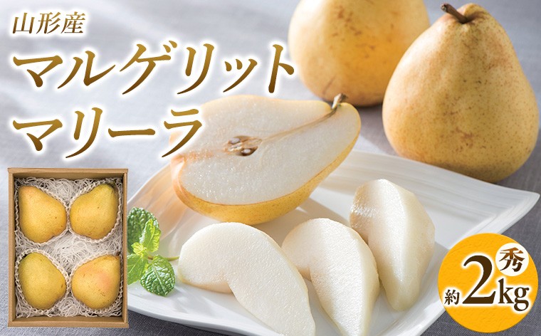 
                  山形県産 マルゲリットマリーラ 秀 約2kg(4～6個) FY26-042
                