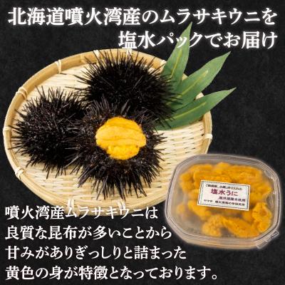 ふるさと納税 豊浦町 ※先行受付 うに 塩水ムラサキウニ 80g 北海道豊浦 噴火湾【配送不可地域:離島】 TYUR020 |  | 02
