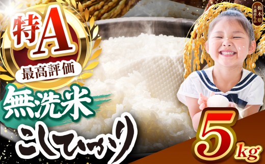 【先行予約】栃木県産コシヒカリ 無洗米 5kg【栃木県共通返礼品】