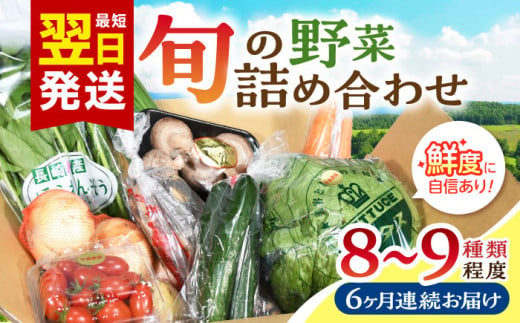 【全6回定期便】諫早産野菜の詰め合わせ 8〜9品目程度 / 野菜 やさい 旬野菜 旬 新鮮 詰合せ セット たまねぎ なす トマト れんこん きのこ 大根 / 諫早市 / 肥前グローカル株式会社 [AHDI002]