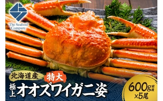北海道産特大極上オオズワイガニ姿　600g前後×5尾セット