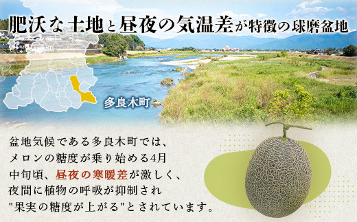 【2026年6月上旬〜順次発送 先行予約】大玉 肥後グリーンメロン 2玉 約4.6kg以上 熊本県産【 果物 フルーツ グリーンメロン 先行予約 4.6kg 青肉 期間限定 数量限定 熊本県 多良木町
