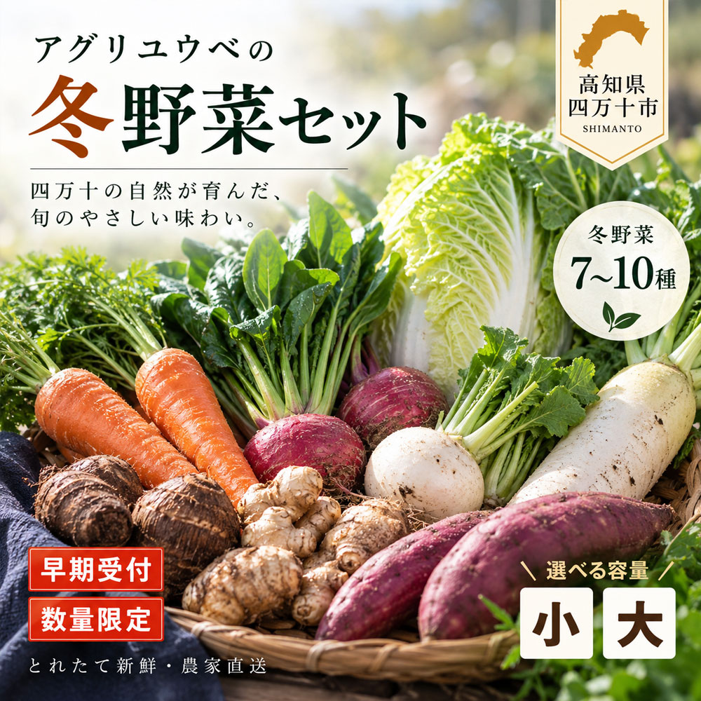 【ふるさと納税】【 選べる 容量 回数 】アグリユウベの冬野菜セット 小 大 早期受付 数量限定 とれたて 新鮮 単品 定期便 2回 3回 農家直送 国産 野菜便 やさい 野菜 冬野菜 旬 高知県 四万十市 四万十 しまんと 送料無料 【2026年11月中旬～2027年2月下旬に1回発送】