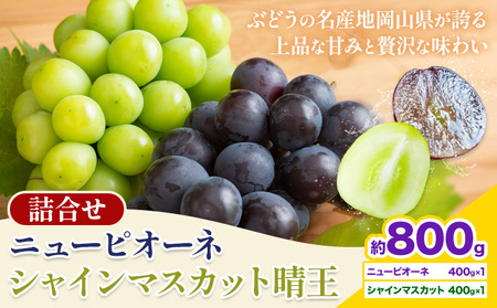 【先行予約】 岡山県産 シャインマスカット「晴王」とニューピオーネ 計 800g 株式会社はちや《6月下旬～7月下旬頃出荷》【配送不可地域あり】