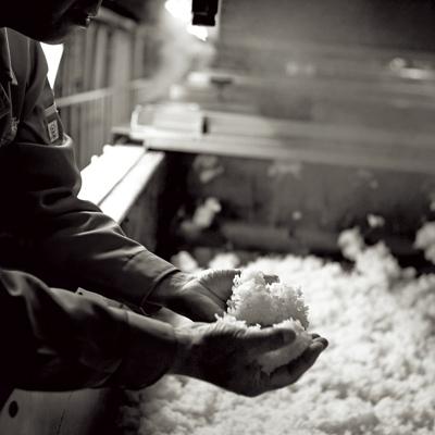 ふるさと納税 多良木町 白岳・厳選一升瓶5本セット |  | 03