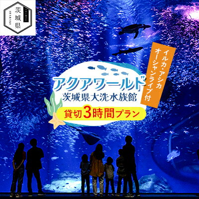 【ふるさと納税】アクアワールド茨城県大洗水族館　貸切3時間プラン(イルカ・アシカオーシャンライブ付)【配送不可地域：離島・沖縄県】【1424655】
