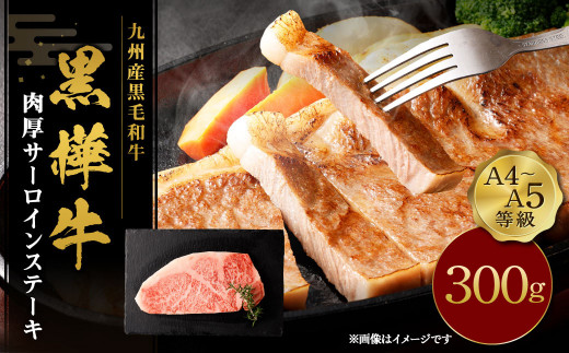 ステーキ 牛肉 A4～A5等級 肉厚 サーロインステーキ 300g×1パック 和牛 黒毛和牛 冷凍 熊本県産 九州産 国産 九州産黒毛和牛 杉本本店 黒樺牛 アウトドア BBQ キャンプ