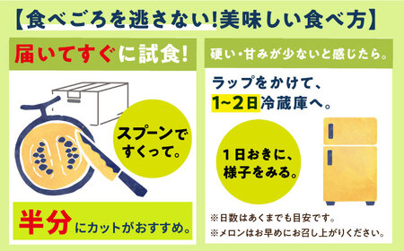 【先行予約メロン】【2024年8月初旬発送分】【糖度14以上】メロン アールスメロン 約4kg（2玉）《小値賀町》マスクメロン【ながさき西海農協小値賀地区園芸部会】[DAT002]  メロン マスクメ
