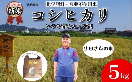 【令和7年産新米】米 コシヒカリ 5kg 天皇献上米 (栽培期間中）化学肥料・農薬不使用米 白米 精米 こめ  ご飯 備蓄米 ごはん 新米  環境 に優しい 小松島市 上王子特質米 5kg
