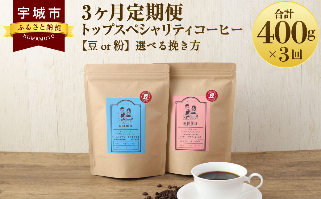 【3ヶ月定期便】 トップ スペシャリティ コーヒー 粉