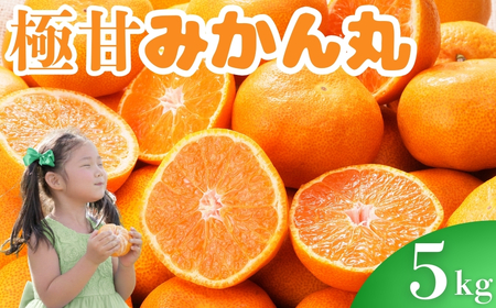 極甘！みかん丸 5kg箱 みかん