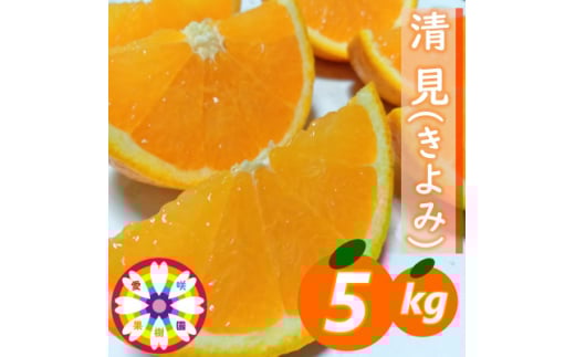 愛咲果樹園 「 清見 」約5kg＜C71-14＞_ みかん ミカン 柑橘 くだもの 果物 フルーツ清見 きよみ ジューシー 甘い 常温 デザート 産地直送 産直 愛媛 人気 【1344729】