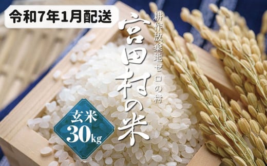 【予約受付】【令和６年米】【新米】長野県産　減農薬栽培コシヒカリ／玄米／30kg・23,000円／令和7年1月配送