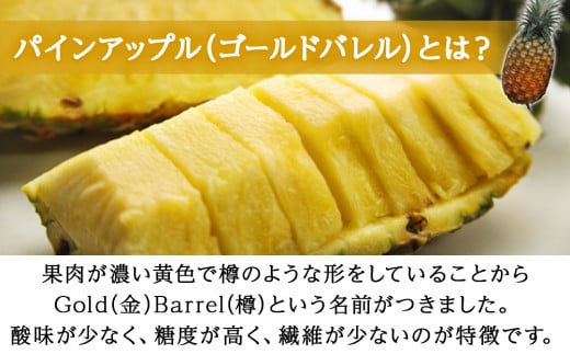 【先行予約】【2025年6～8月頃配送】今帰仁産パインアップ