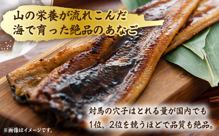 【全6回定期便】骨まで食べる 白焼き あなご （5袋）【うえはら株式会社】穴子 白焼 海鮮 国産 フワフワ 魚介 特産物 [WAI076]