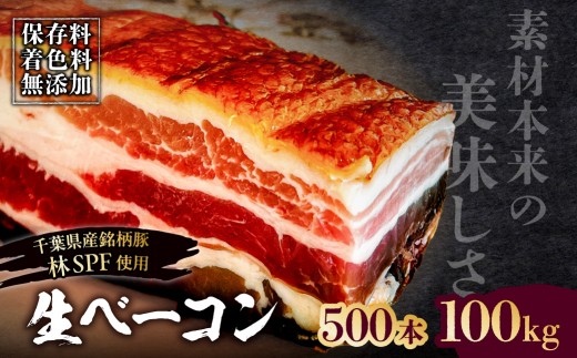
                  生ベーコン【保存料・着色料無添加】《国産銘柄豚 林SPFプレミアムポーク 豚バラ》500本 100kg 【ベーコン 豚バラ 燻製 冷燻 林SPF 豚 豚肉 肉 お肉 冷凍 おかず ベーコンエッグ 朝食 パスタ ペペロンチーノ カルボナーラ サンドイッチ】
                