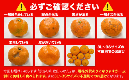 みかん 訳あり 和歌山みかん 約7.5kg