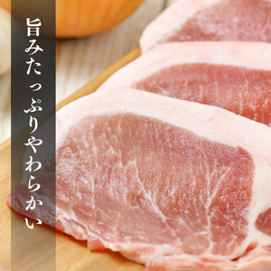 【6ヶ月定期便】千葉県産 下山農場 SPF豚 「 ほころぶた 」（ しゃぶしゃぶ用 ） ／ SPF豚 豚肉 ほころぶた しゃぶしゃぶ ロース 肩ロース 定期便