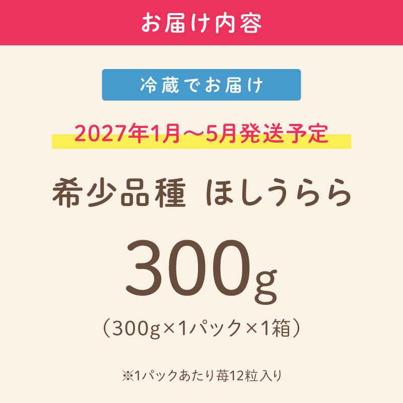 【2027年1月～5月発送予定】【糖度12〜15度の希少品種】いちご ほしうらら 約300g（約300g×1パック×1箱） ※お届け不可地域あり【121E-002-2027】