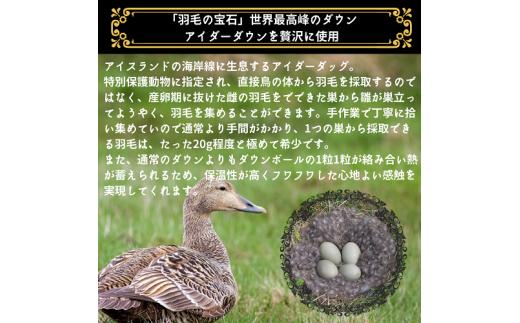 ＜京都金桝＞羽毛布団 極上 肌掛け 布団 シングル 「羽毛の宝石」アイダーダウン95% ダウンケット ピンク／ブルー 春夏秋冬 オールシーズン 京都亀岡産 日本製 ｜ 国産 寝具 布団 羽毛ふとん 掛